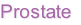 Prostate
