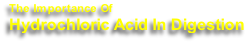 The Importance Of
Hydrochloric Acid In Digestion
